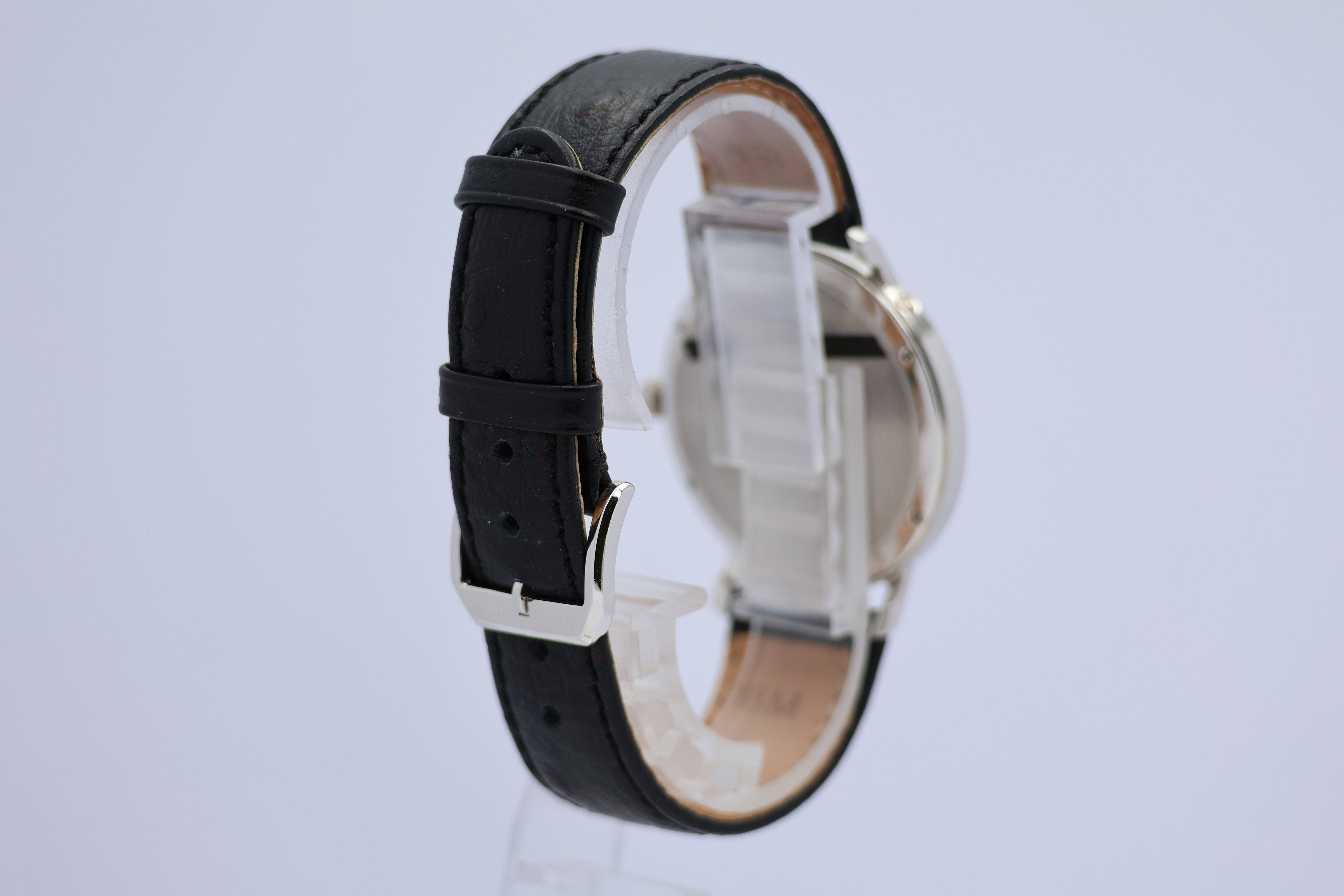 IWC Romana Perpetual Calender Platin IW2050 - Detailansicht 1