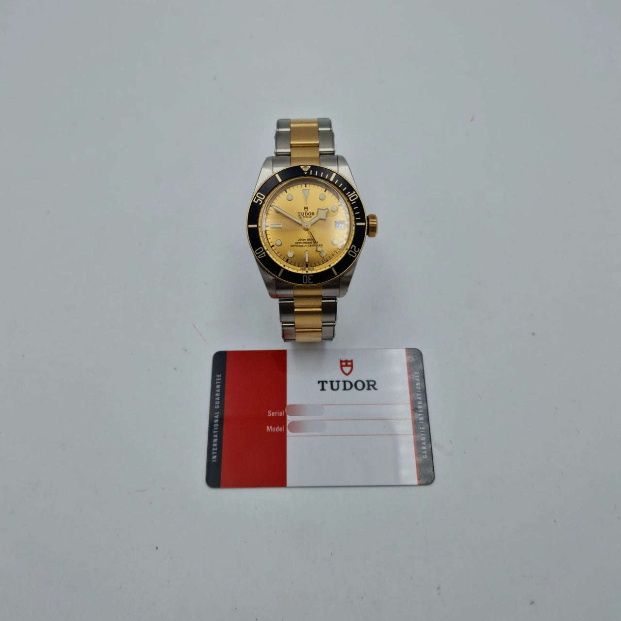 Tudor Black Bay Stahl/Gold Automatik Herrenuhr 79733N - Papers and documentation