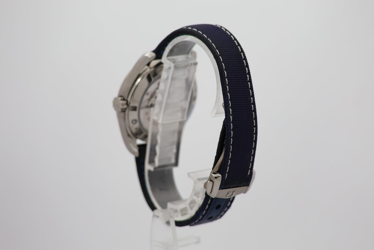 Omega Seamaster Aqua Terra 36mm "Goodplanet Foundation" 23192392104001 - Detail view 2