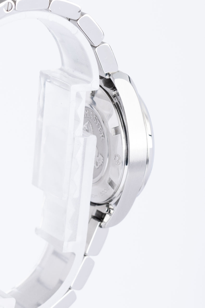Omega Seamaster Aqua Terra 30mm Quarz 23110306102001 - Detailansicht 4
