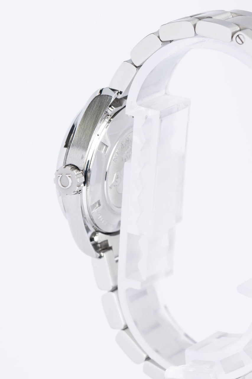 Omega Seamaster Aqua Terra 30mm Quarz 23110306102001 - Detailansicht 3